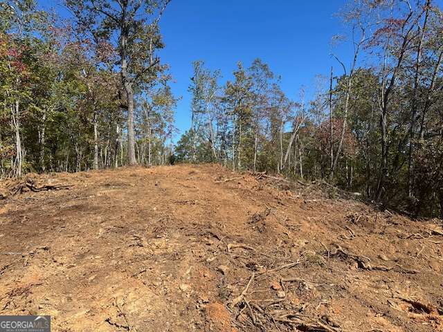 3.71 Yancy Drive Dawsonville GA 30534