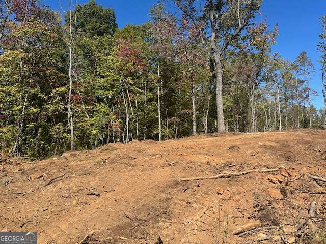 3.71 Yancy Drive Dawsonville GA 30534