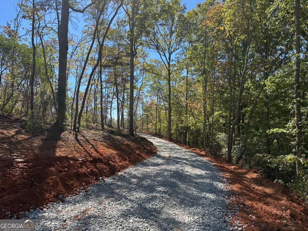 3.71 Yancy Drive Dawsonville GA 30534
