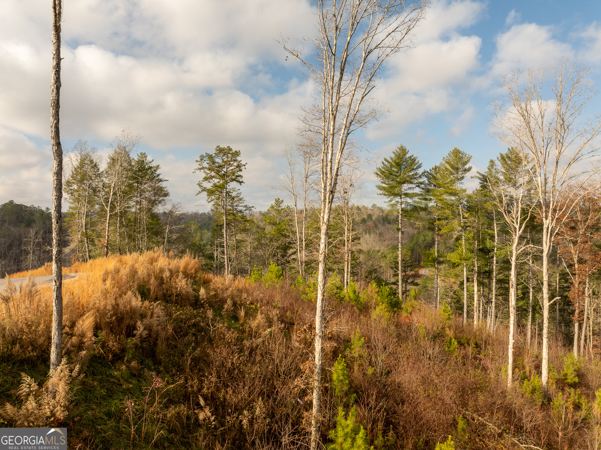 Lt 243 High River Crossing Ellijay GA 30540