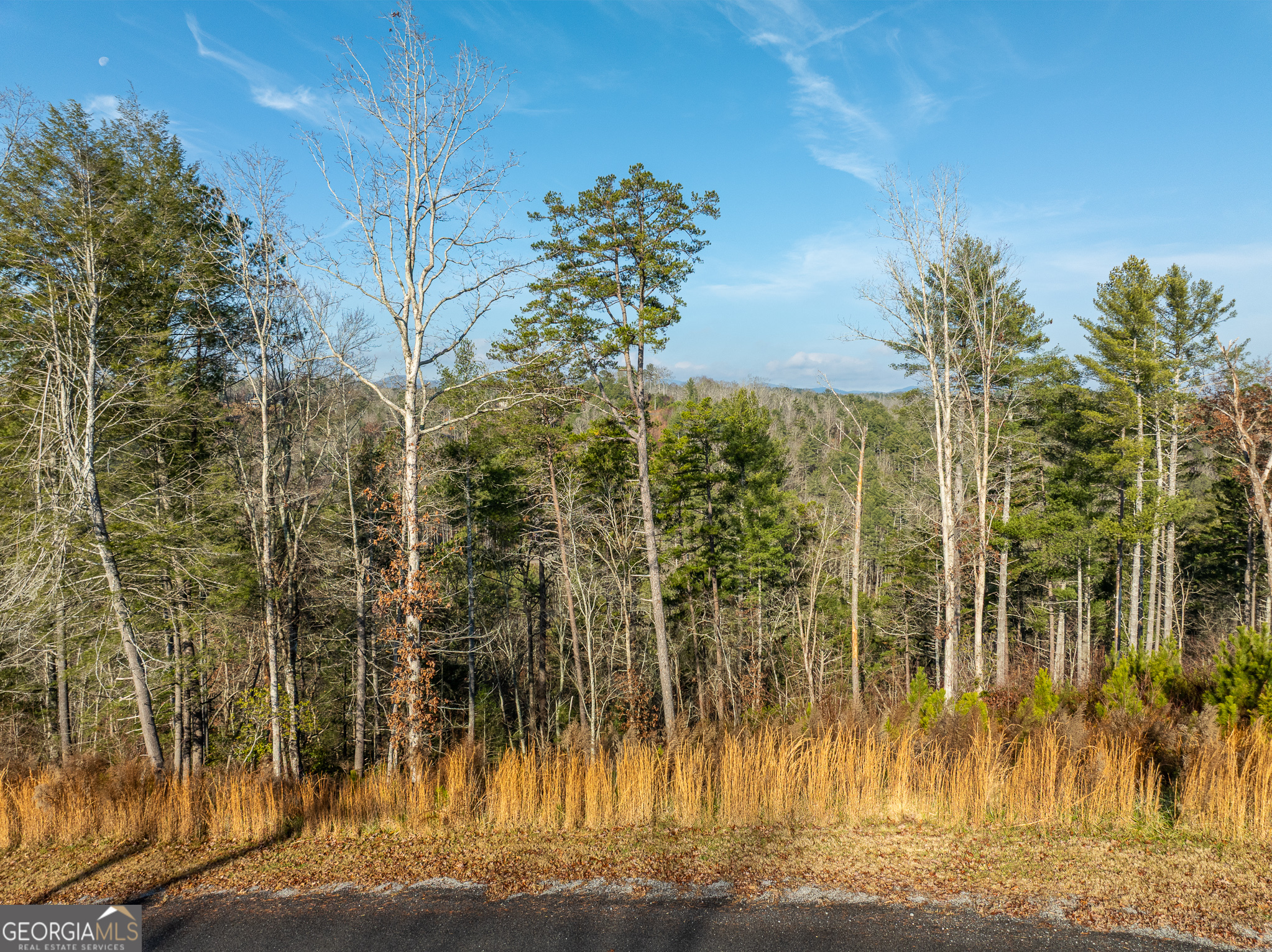 Lt 243 High River Crossing Ellijay GA 30540