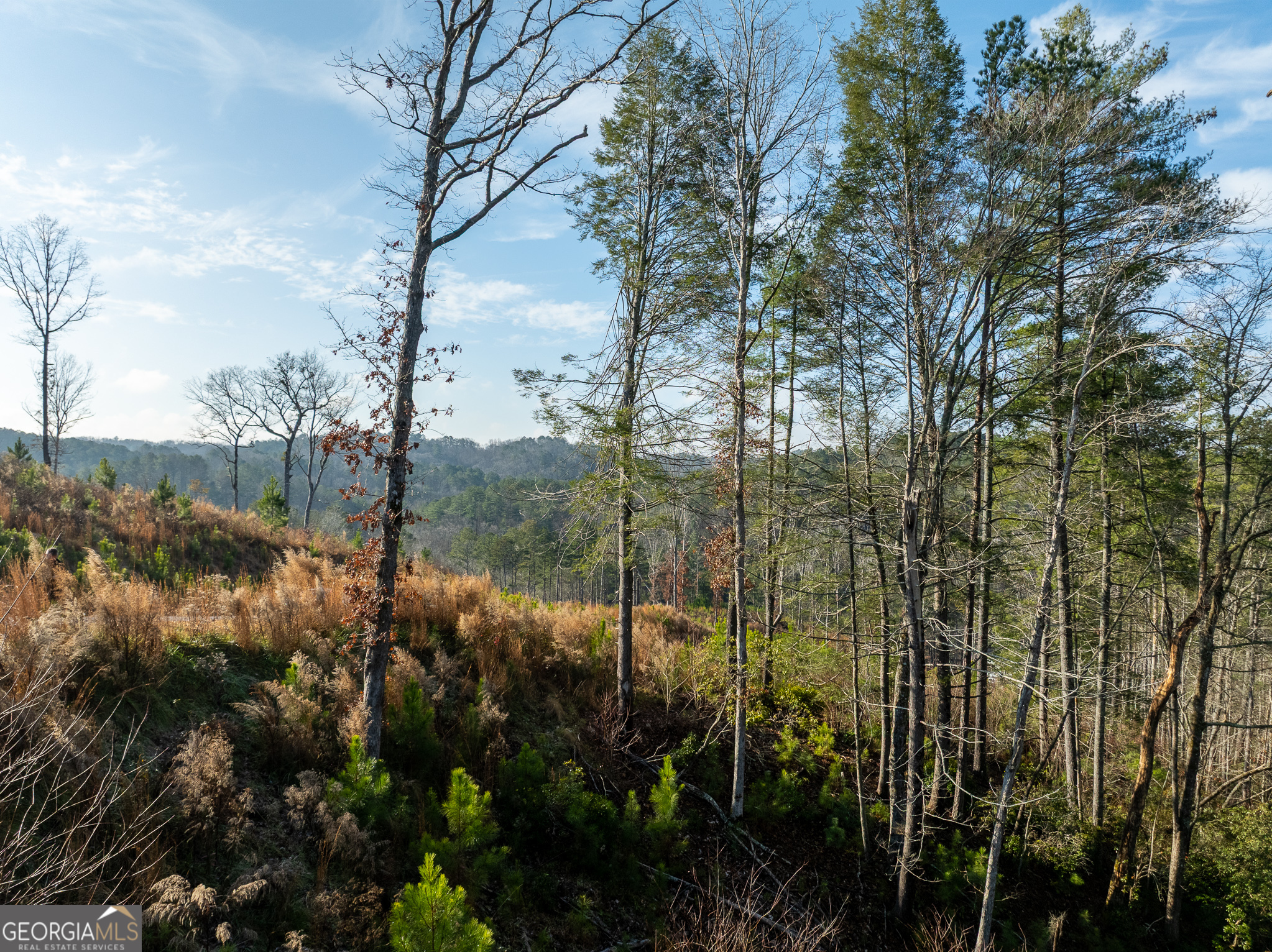 Lt 243 High River Crossing Ellijay GA 30540
