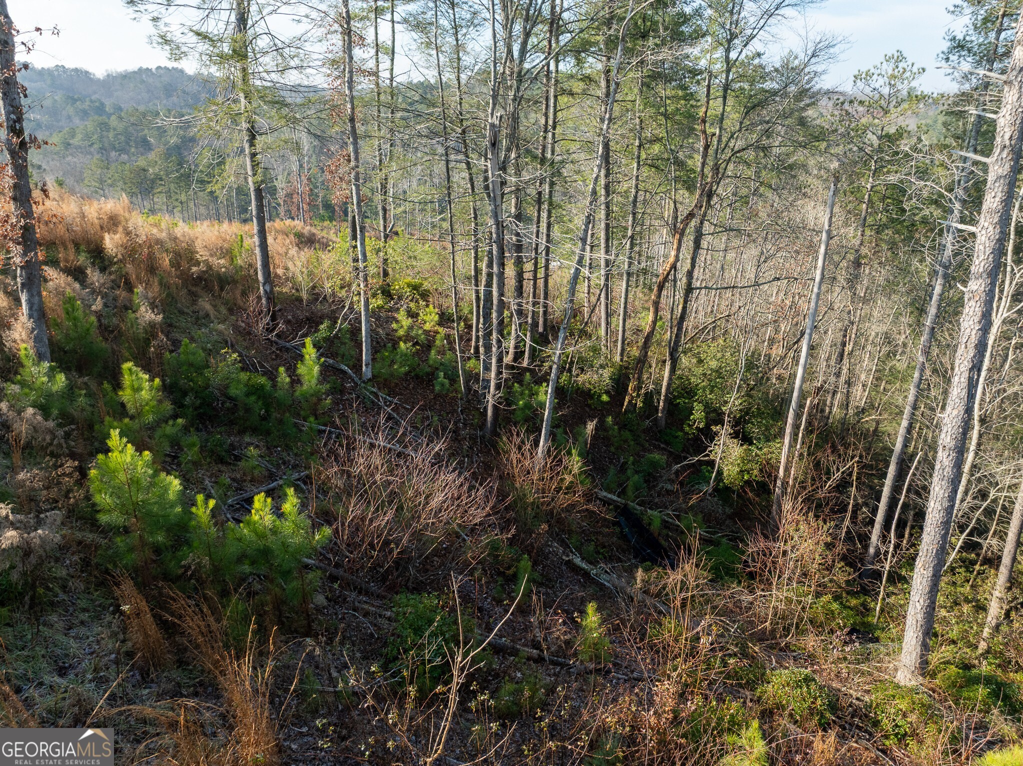Lt 243 High River Crossing Ellijay GA 30540