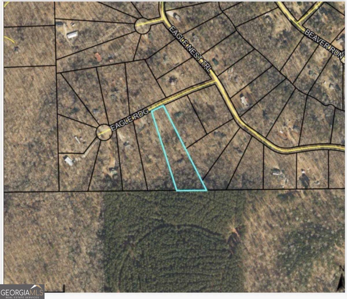 103 Eagle Ridge Ball Ground GA 30107