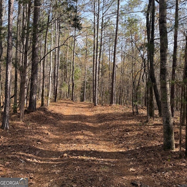 +/- 198 Acres Dennis Creek Road Talbotton GA 31827