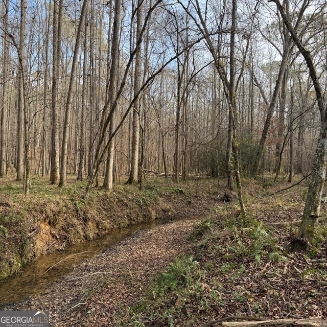 +/- 198 Acres Dennis Creek Road Talbotton GA 31827