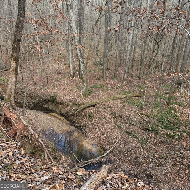 +/- 198 Acres Dennis Creek Road Talbotton GA 31827