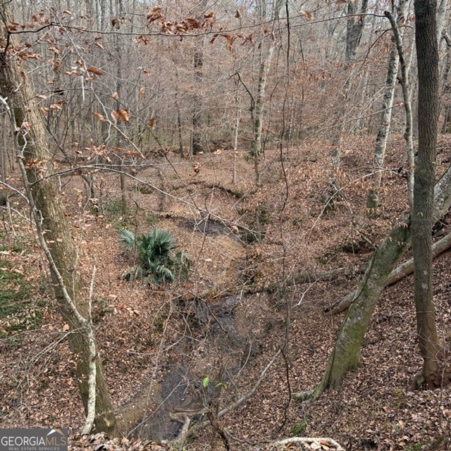 +/- 198 Acres Dennis Creek Road Talbotton GA 31827