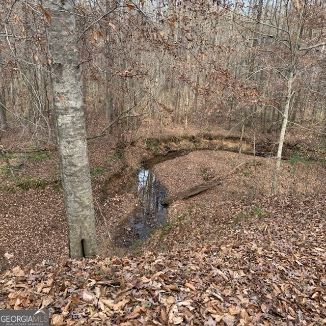 +/- 198 Acres Dennis Creek Road Talbotton GA 31827