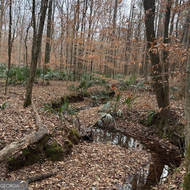 +/- 198 Acres Dennis Creek Road Talbotton GA 31827