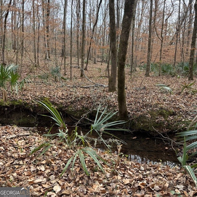 +/- 198 Acres Dennis Creek Road Talbotton GA 31827