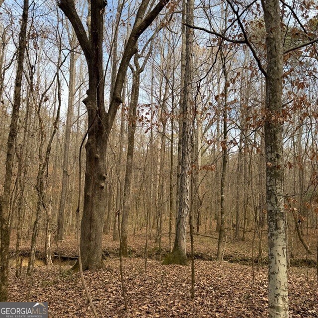 +/- 198 Acres Dennis Creek Road Talbotton GA 31827