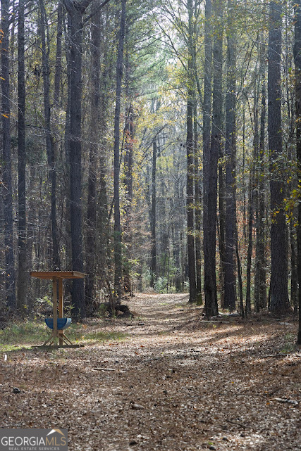 +/- 198 Acres Dennis Creek Road Talbotton GA 31827