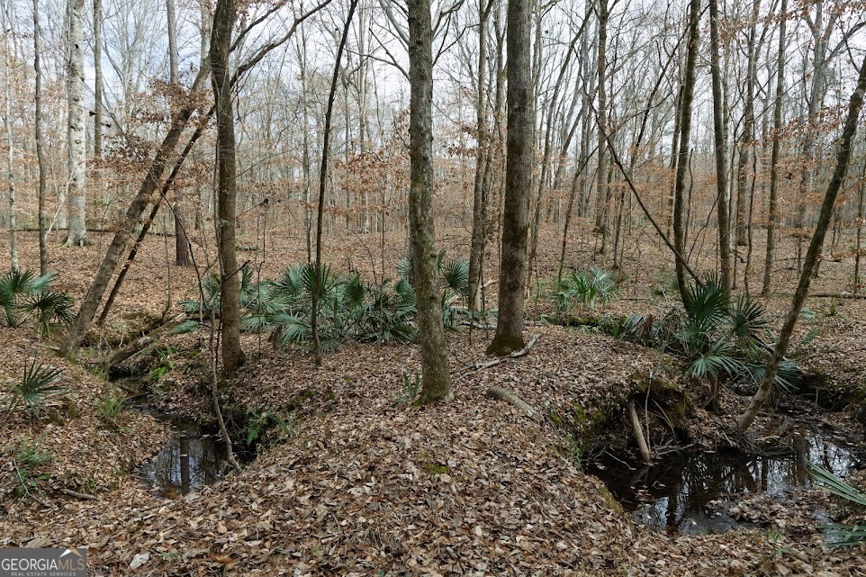 +/- 198 Acres Dennis Creek Road Talbotton GA 31827