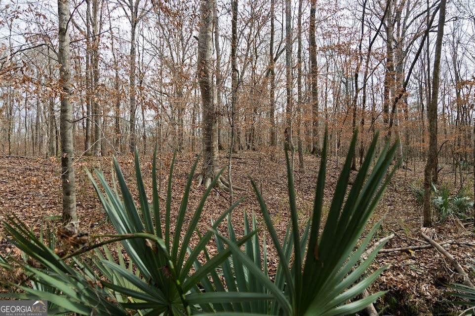 +/- 198 Acres Dennis Creek Road Talbotton GA 31827