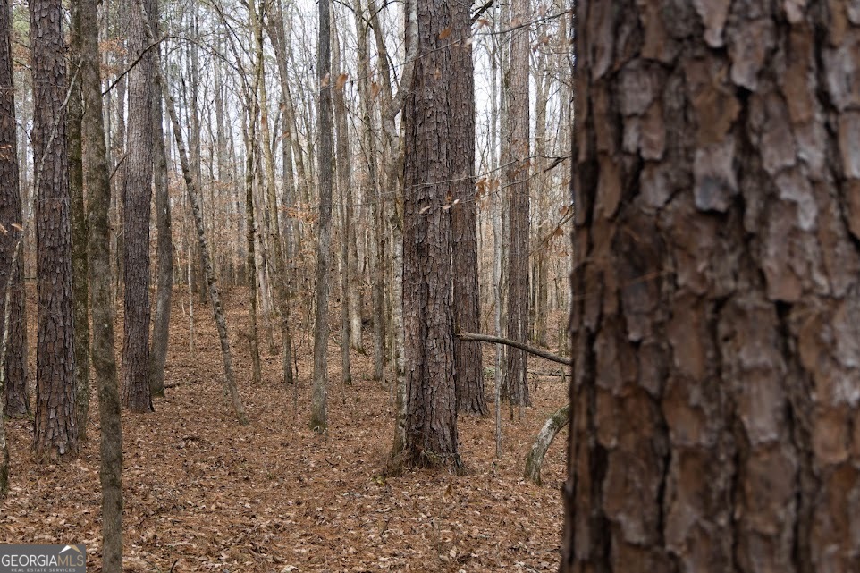 +/- 198 Acres Dennis Creek Road Talbotton GA 31827