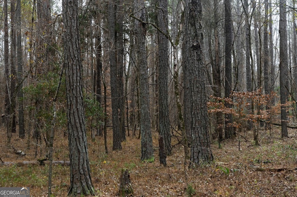 +/- 198 Acres Dennis Creek Road Talbotton GA 31827
