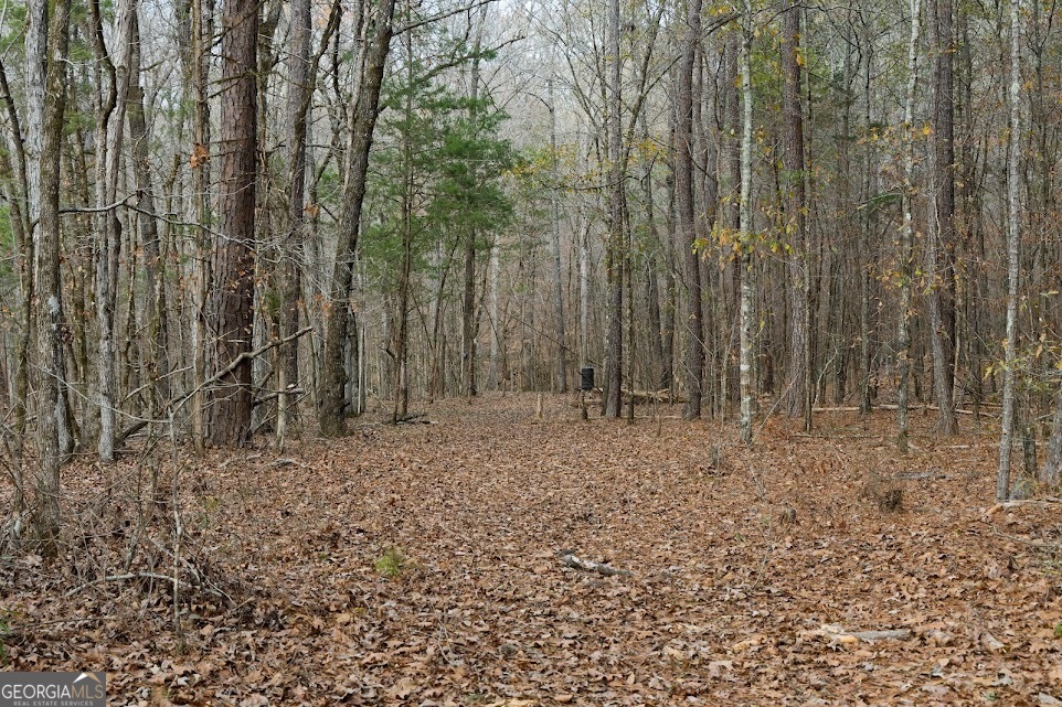 +/- 198 Acres Dennis Creek Road Talbotton GA 31827