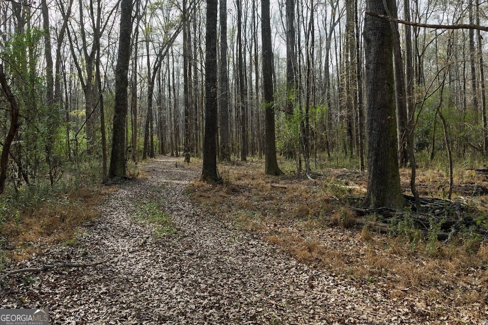 +/- 198 Acres Dennis Creek Road Talbotton GA 31827