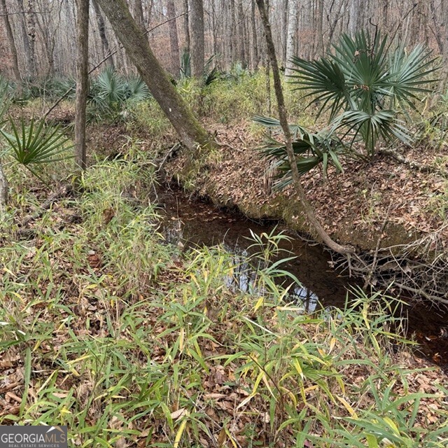 +/- 198 Acres Dennis Creek Road Talbotton GA 31827