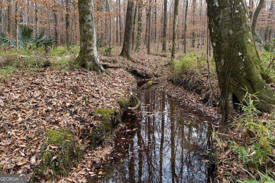 +/- 198 Acres Dennis Creek Road Talbotton GA 31827
