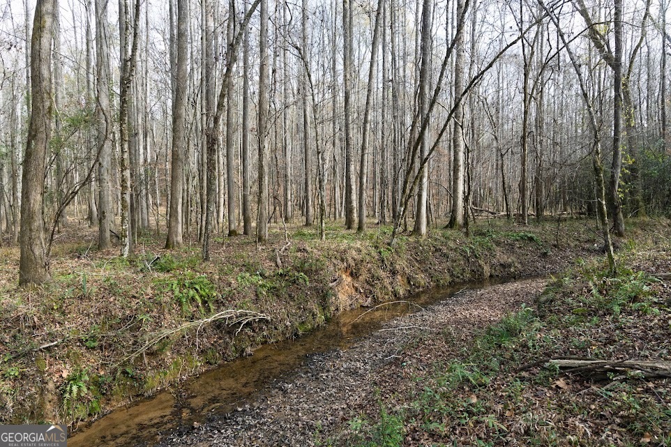 +/- 198 Acres Dennis Creek Road Talbotton GA 31827