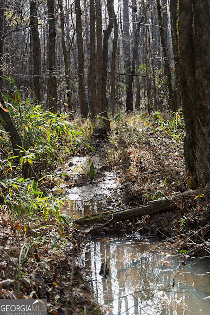 +/- 198 Acres Dennis Creek Road Talbotton GA 31827
