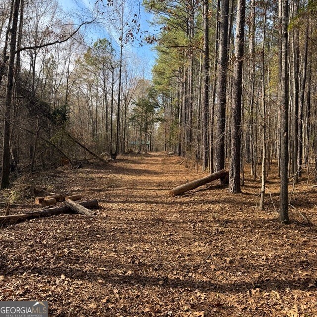 +/- 198 Acres Dennis Creek Road Talbotton GA 31827