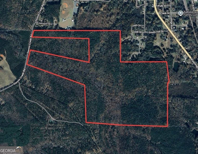 +/- 198 Acres Dennis Creek Road Talbotton GA 31827