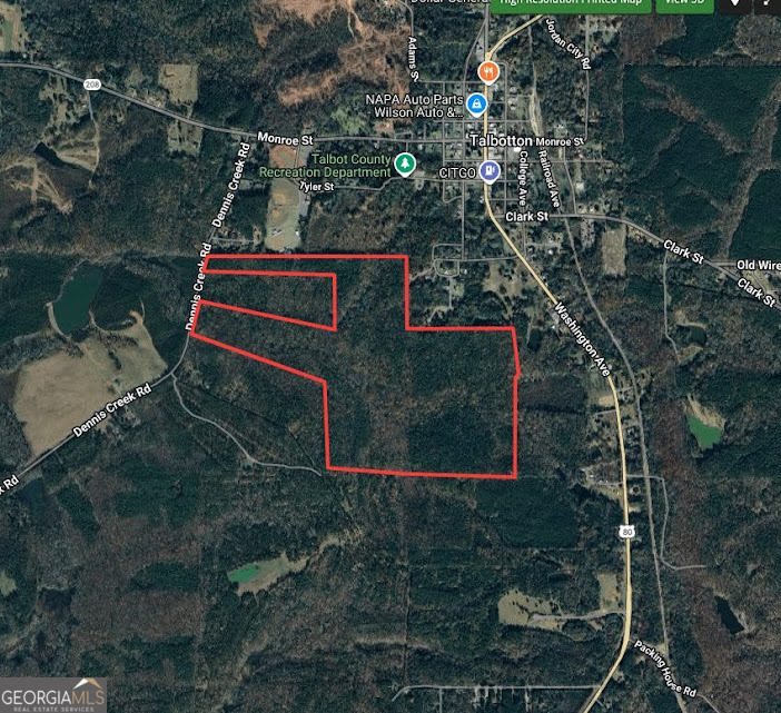 +/- 198 Acres Dennis Creek Road Talbotton GA 31827