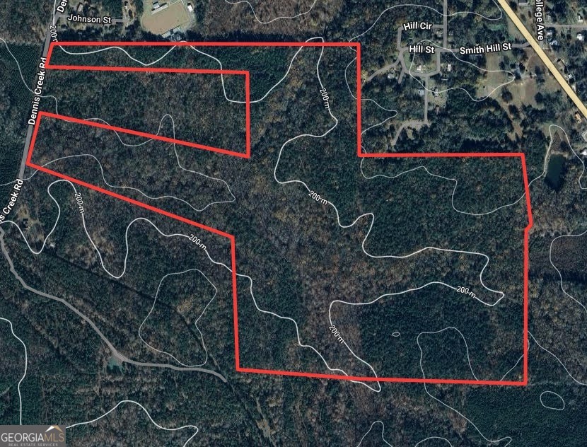 +/- 198 Acres Dennis Creek Road Talbotton GA 31827