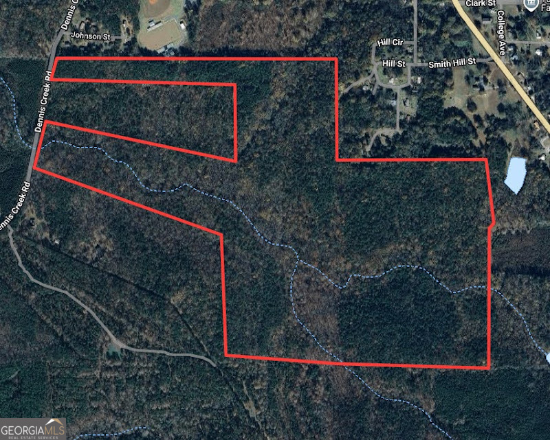 +/- 198 Acres Dennis Creek Road Talbotton GA 31827