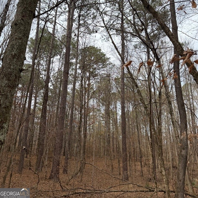 +/- 198 Acres Dennis Creek Road Talbotton GA 31827
