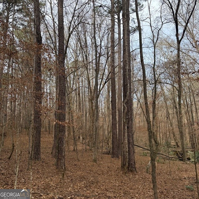 +/- 198 Acres Dennis Creek Road Talbotton GA 31827