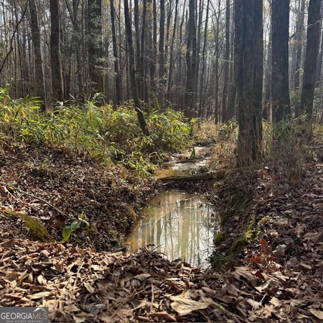 +/- 198 Acres Dennis Creek Road Talbotton GA 31827