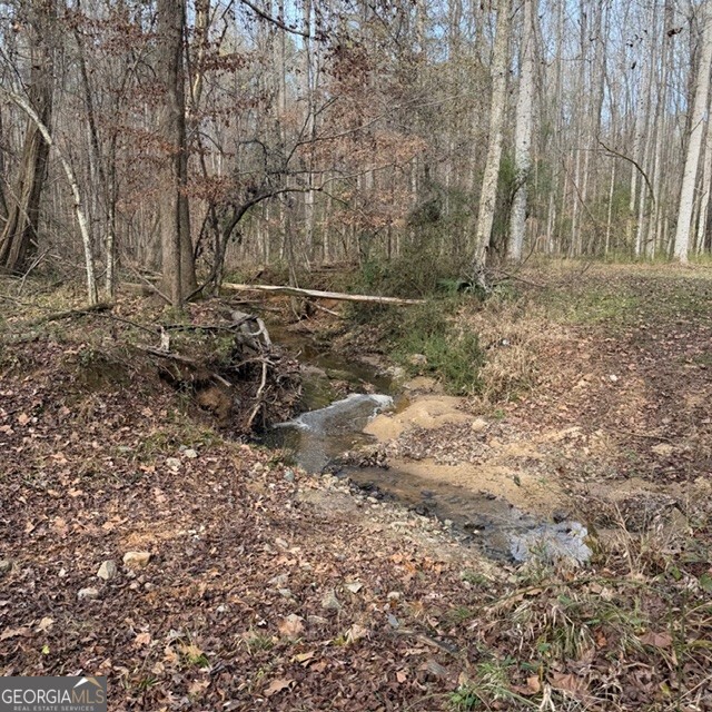 +/- 198 Acres Dennis Creek Road Talbotton GA 31827