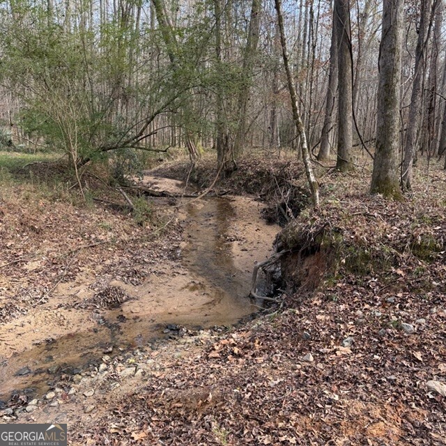 +/- 198 Acres Dennis Creek Road Talbotton GA 31827