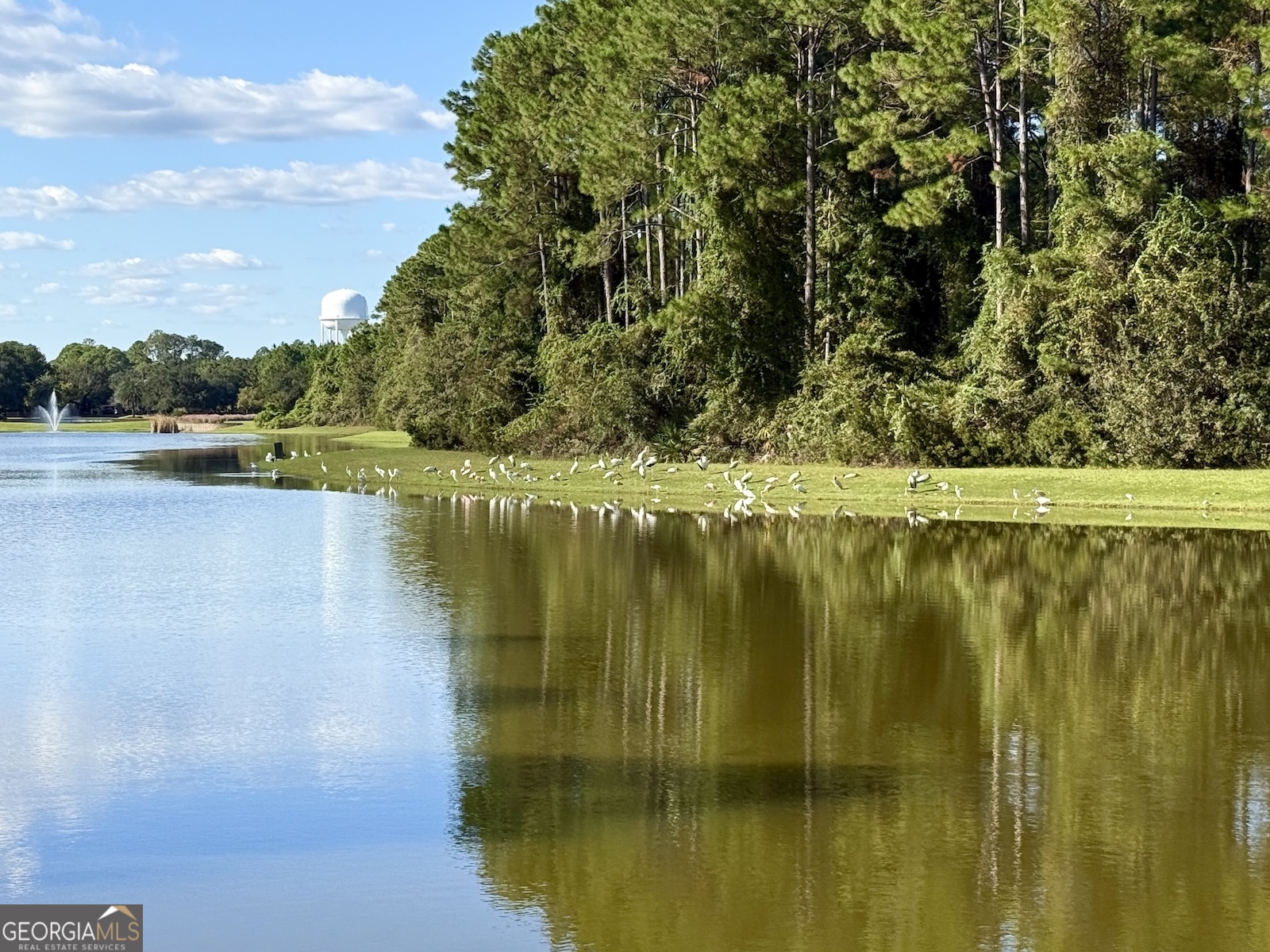 207 Placid Road St. Marys GA 31558