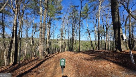 153 Rhondas Way East Ellijay GA 30540