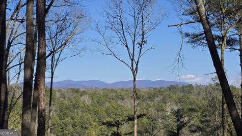 153 Rhondas Way East Ellijay GA 30540