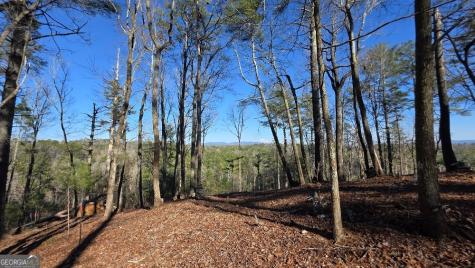 153 Rhondas Way East Ellijay GA 30540
