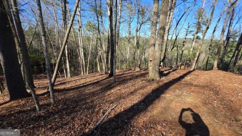 153 Rhondas Way East Ellijay GA 30540