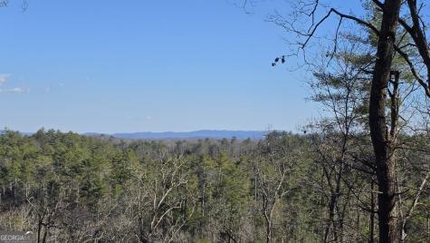 153 Rhondas Way East Ellijay GA 30540