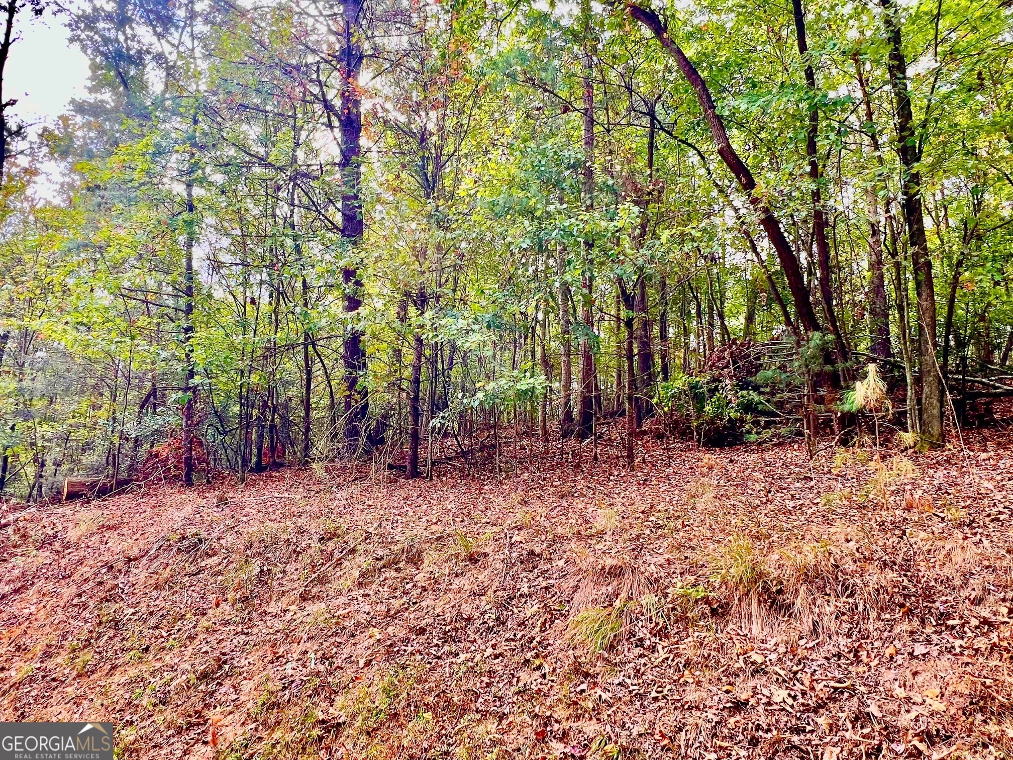 573 Cataula Court Ellijay GA 30540
