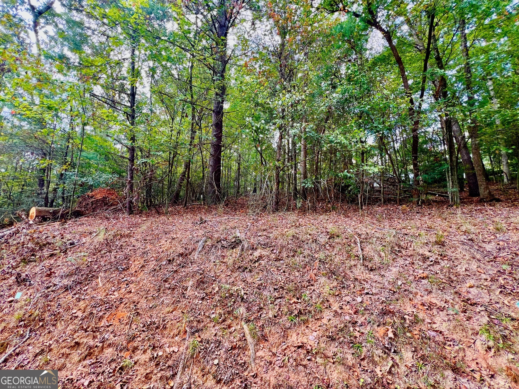 573 Cataula Court Ellijay GA 30540