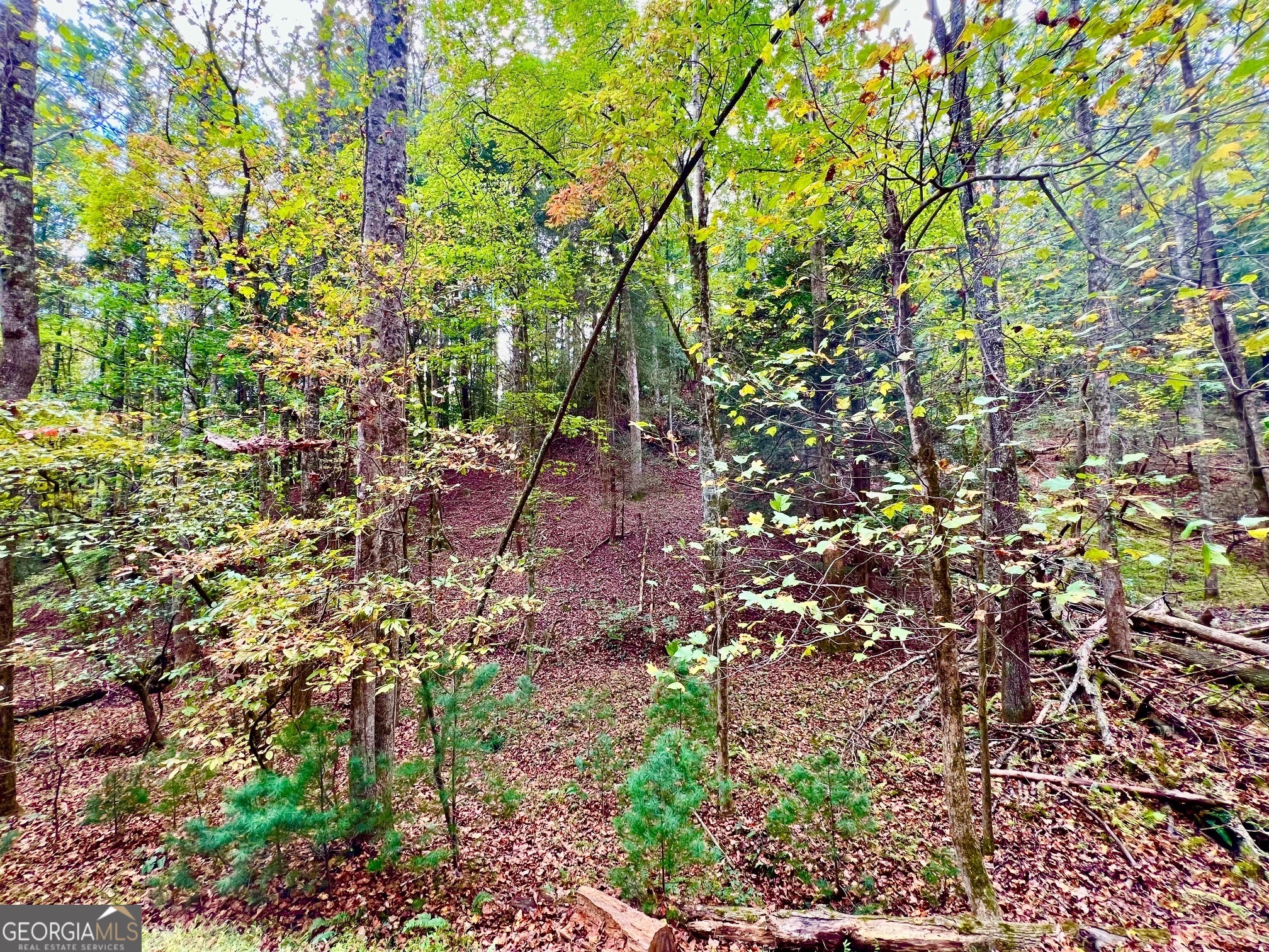 573 Cataula Court Ellijay GA 30540