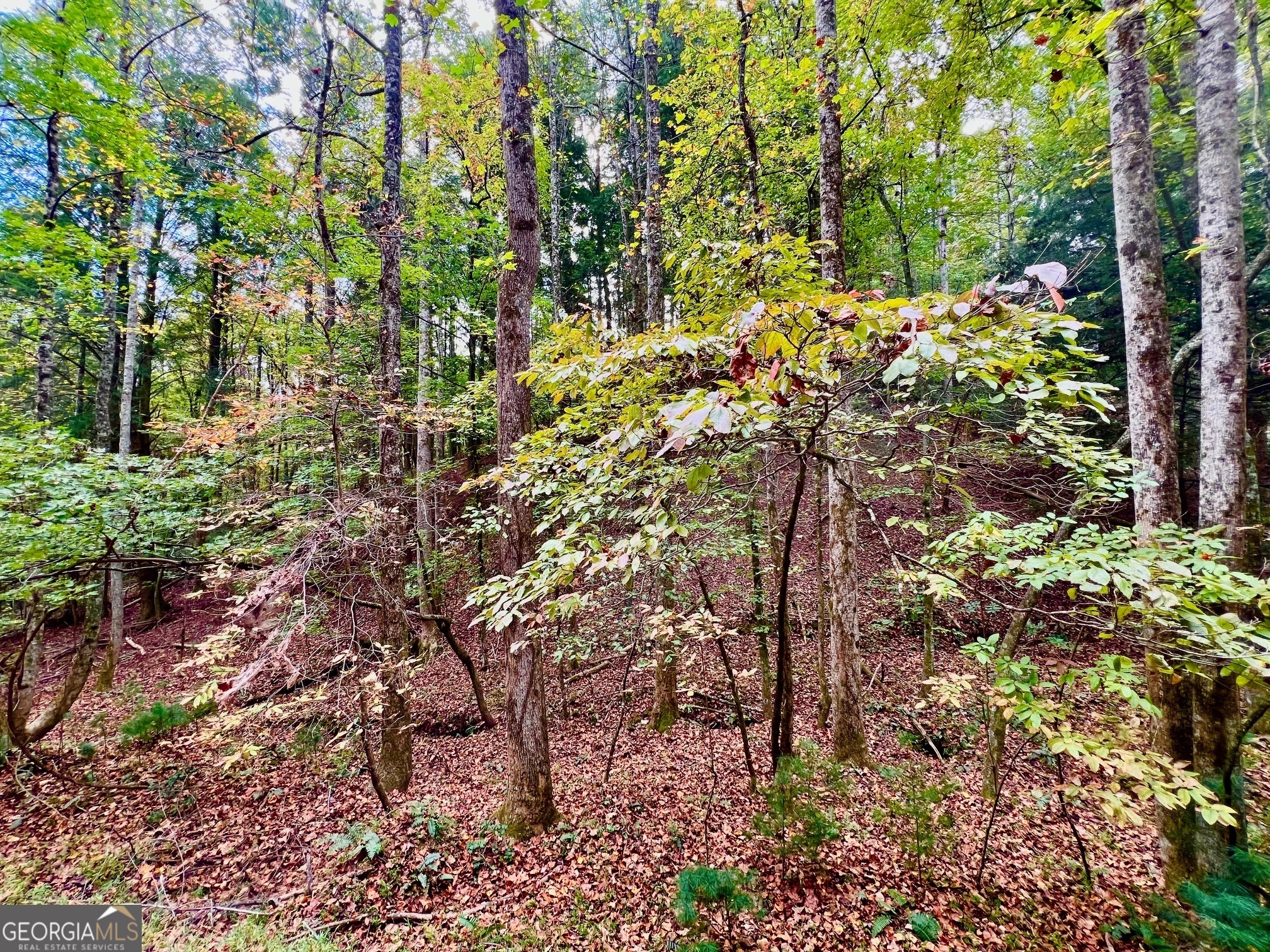 573 Cataula Court Ellijay GA 30540