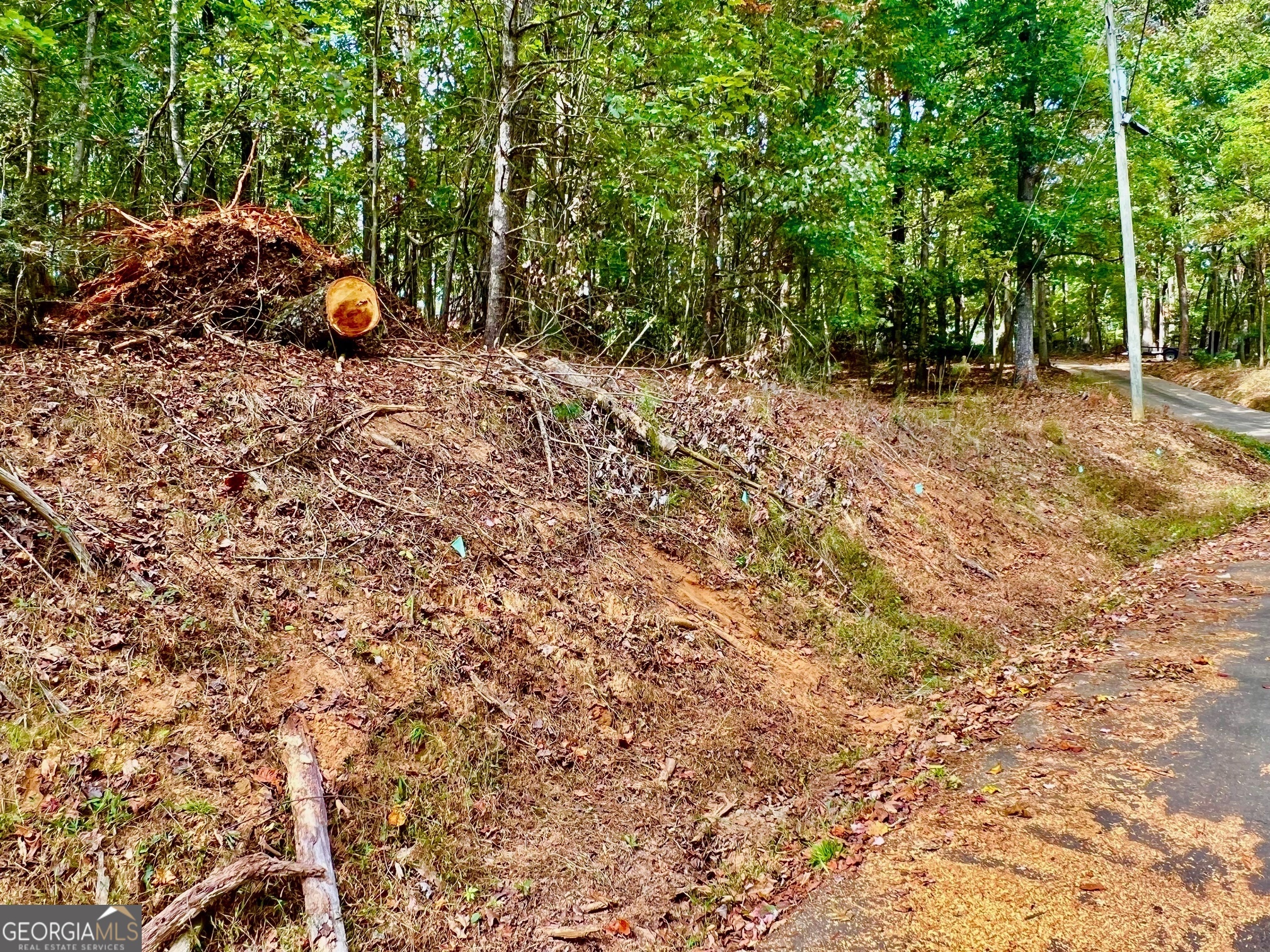 573 Cataula Court Ellijay GA 30540