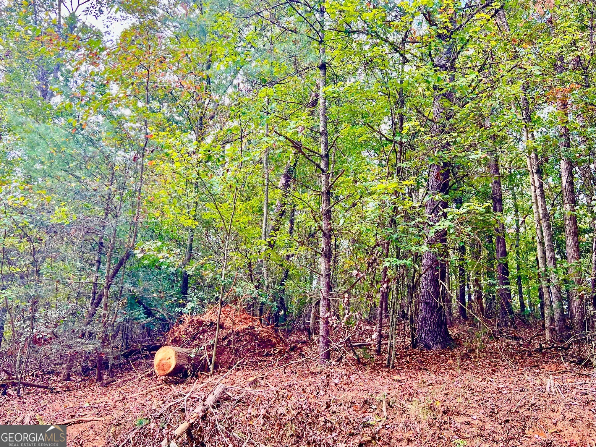573 Cataula Court Ellijay GA 30540