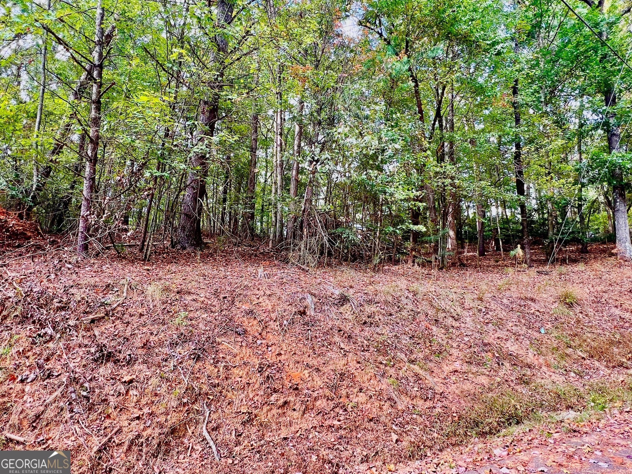 573 Cataula Court Ellijay GA 30540